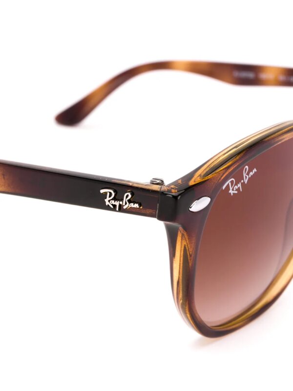 Ray-Ban Wayfarer zonnebril met rond montuur - Bruin