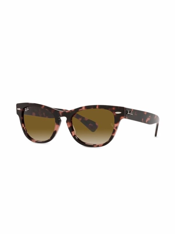Ray-Ban RB2201 zonnebril met cat-eye montuur - Roze