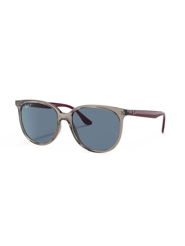 Ray-Ban Zonnebril met rond montuur - Grijs