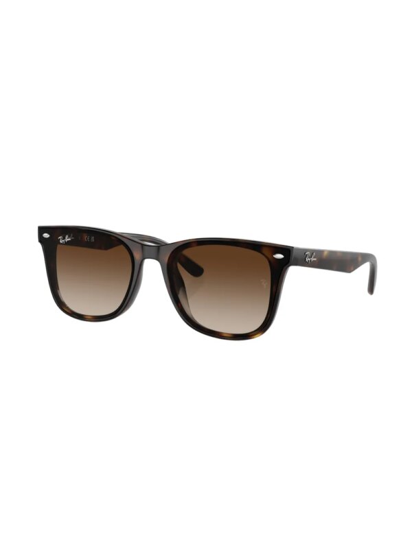 Ray-Ban RB4420 zonnebril met vierkant montuur - Groen
