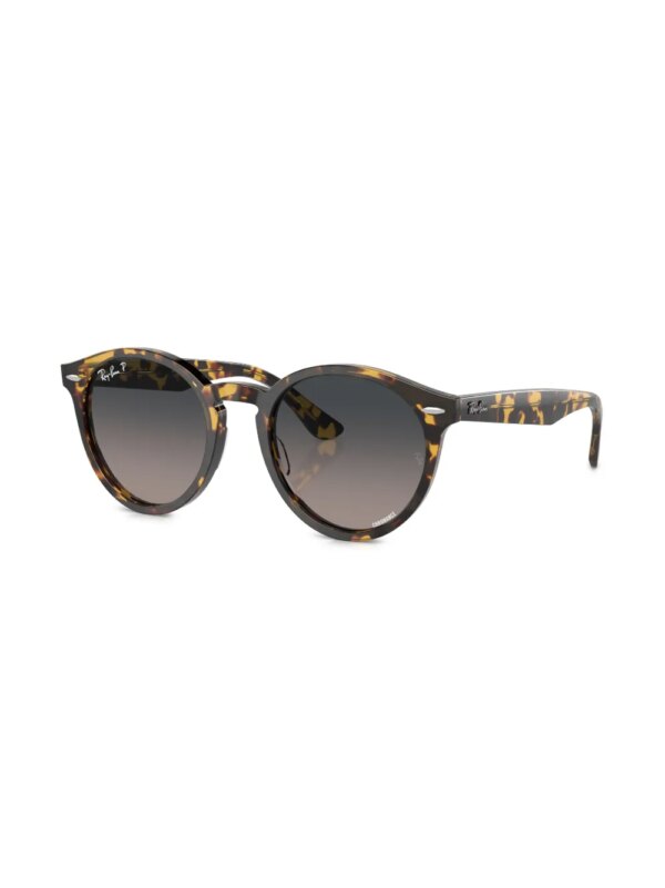 Ray-Ban Larry zonnebril met rond montuur - Bruin