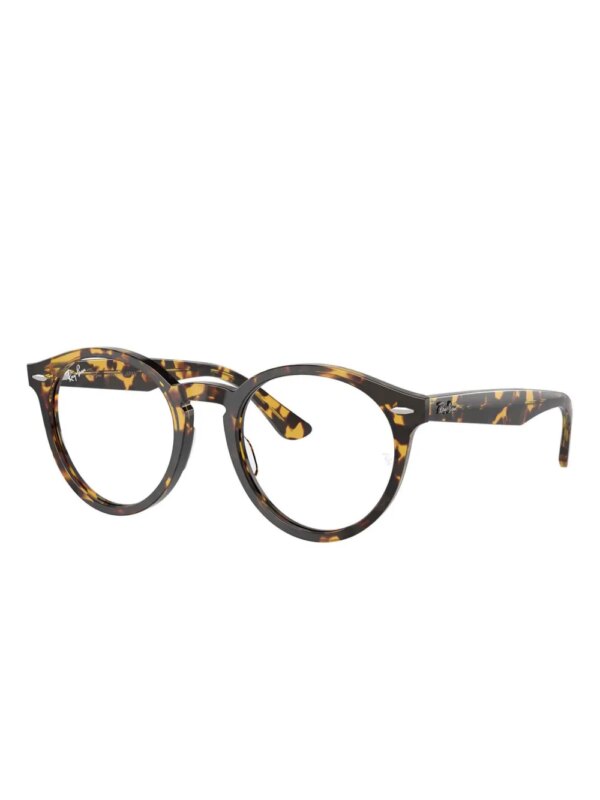 Ray-Ban Larry zonnebril met rond montuur - Bruin