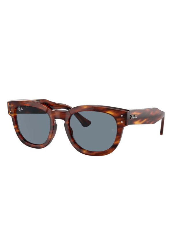 Ray-Ban Zonnebril met rond montuur - Bruin