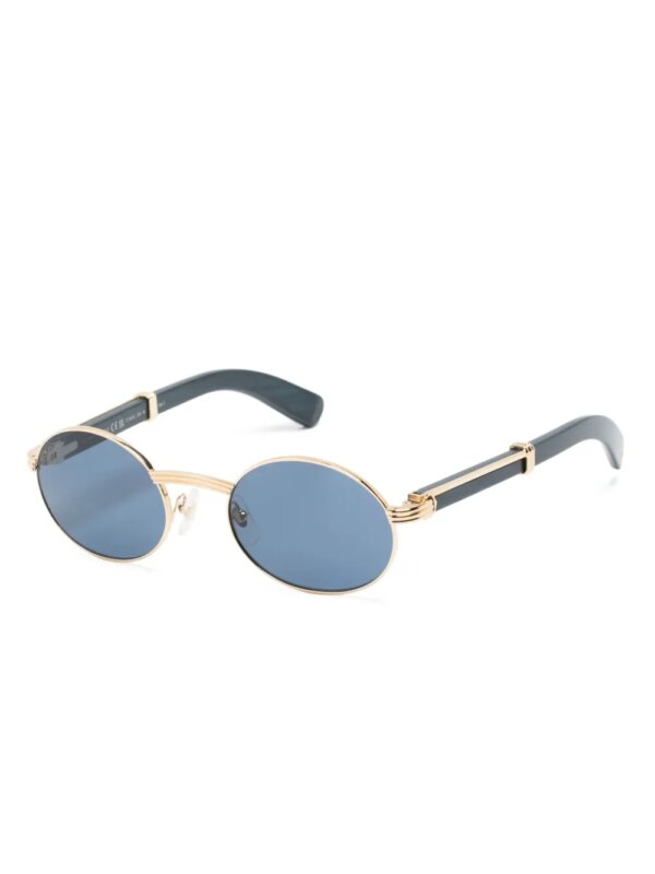 Cartier Eyewear Zonnebril met rond montuur - Blauw