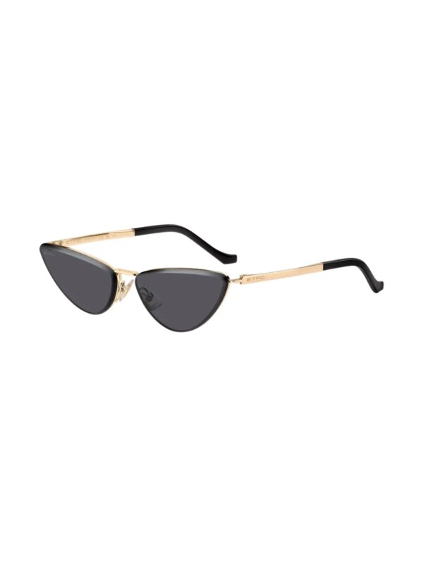 ETRO Zonnebril met cat-eye montuur - Roze