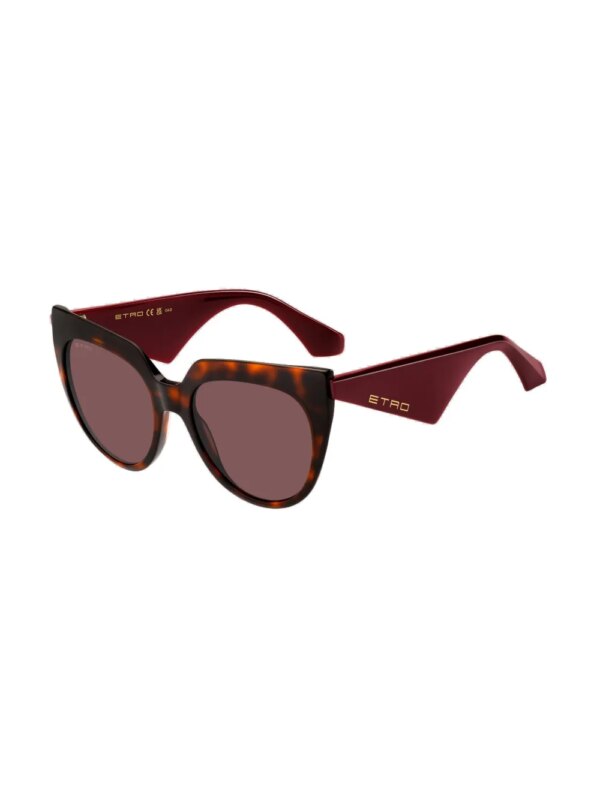 ETRO Tailoring zonnebril met cat-eye montuur - Bruin
