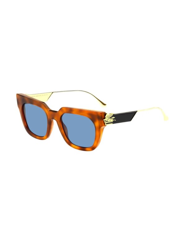 ETRO Bold Pegaso zonnebril met vierkant montuur - Bruin