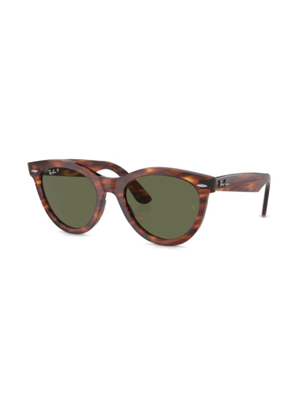 Ray-Ban Wayfarer Way zonnebril met rond montuur - Bruin