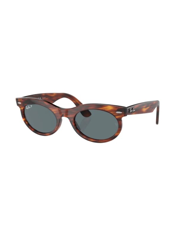 Ray-Ban Wayfarer zonnebril met ovalen montuur - Bruin