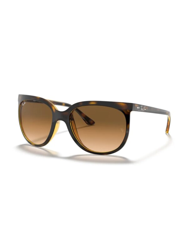 Ray-Ban Cats 1000 zonnebril - Bruin