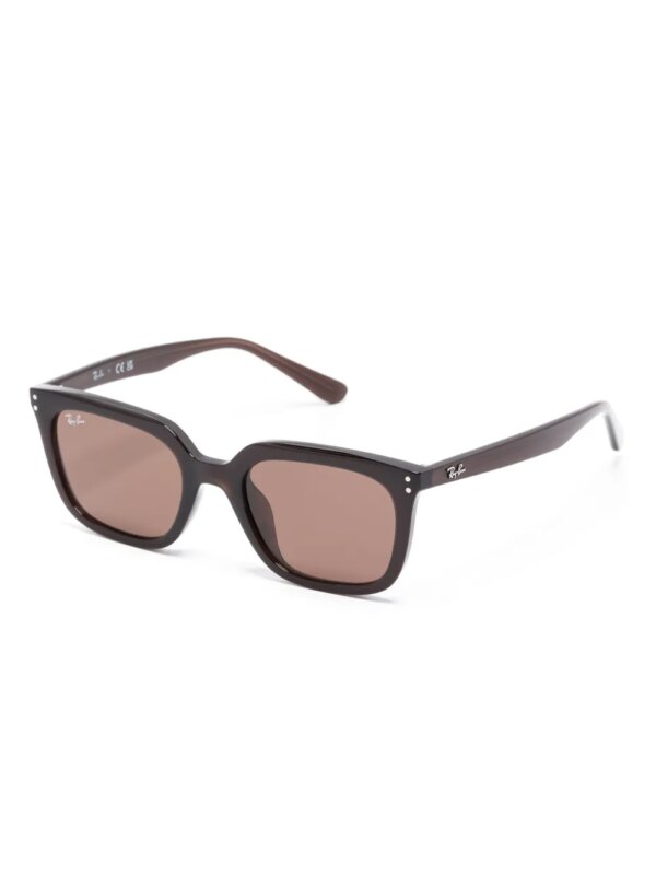 Ray-Ban RB4439D zonnebril - Bruin