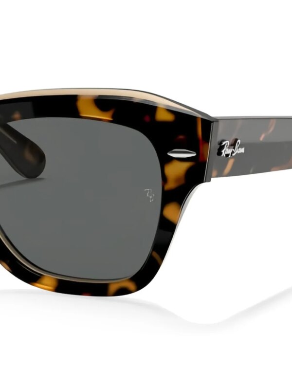 Ray-Ban Zonnebril met logo - Bruin