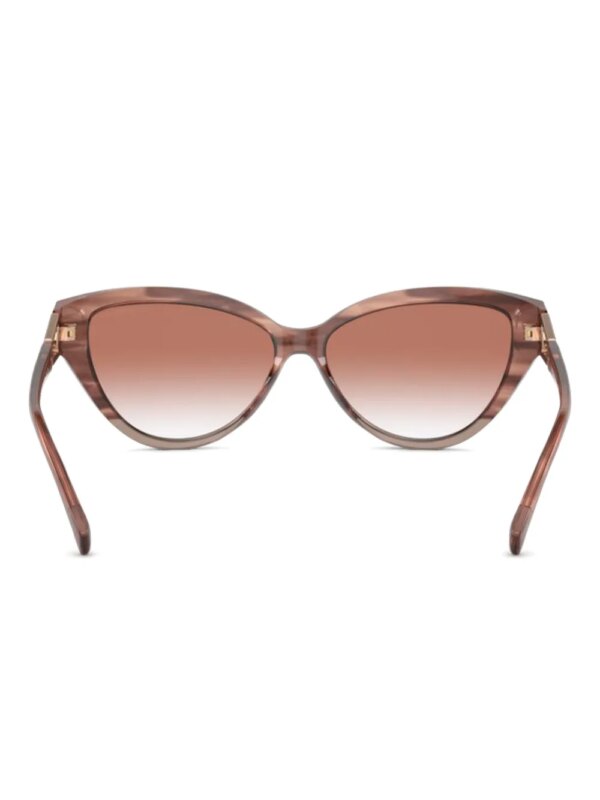 Emporio Armani Zonnebril met cat-eye montuur - Roze
