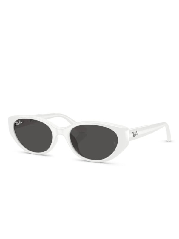 Ray-Ban Bio-Based zonnebril - Wit