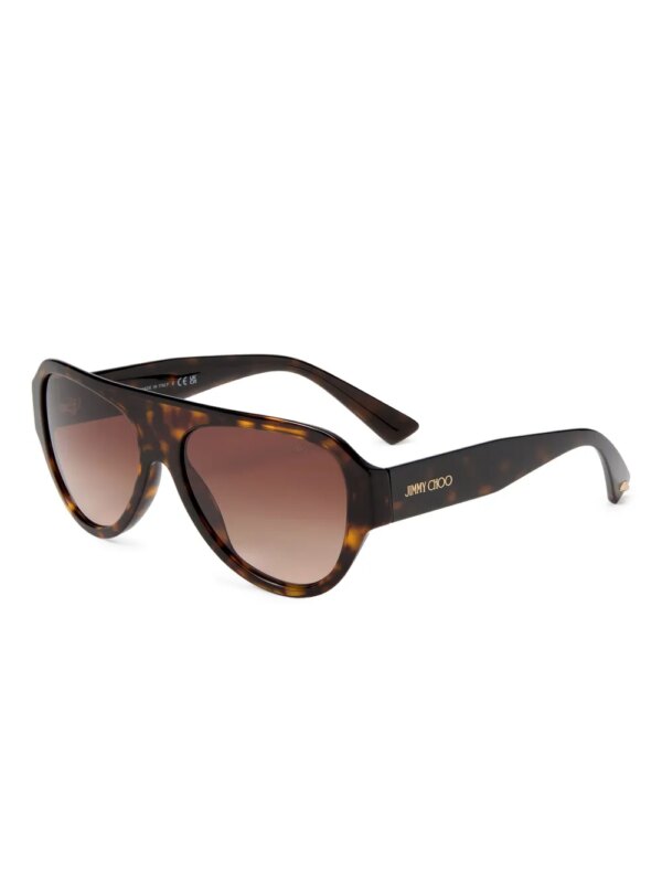 Jimmy Choo Eyewear Eira zonnebril - Bruin