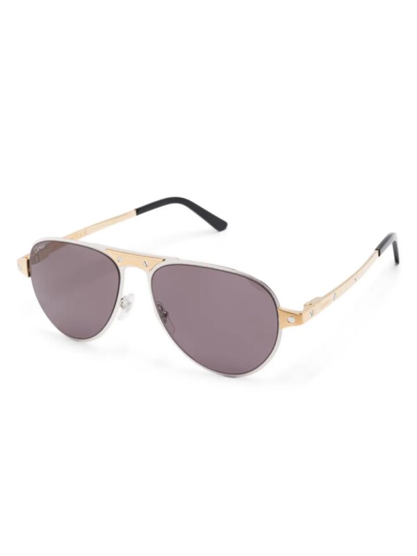 Cartier Eyewear Santos de Cartier zonnebril - Zilver