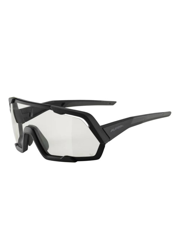 Alpina Rocket V zonnebril - Zwart
