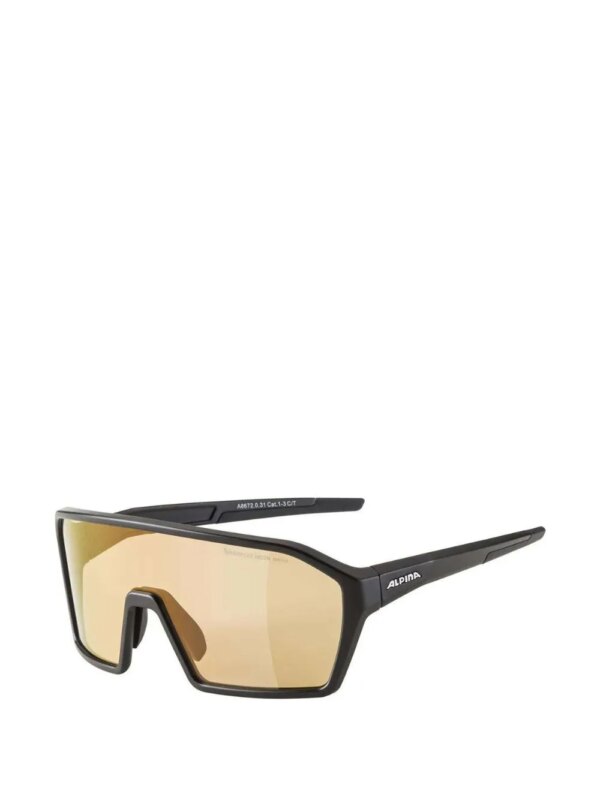 Alpina Zonnebril met oversized montuur - Zwart