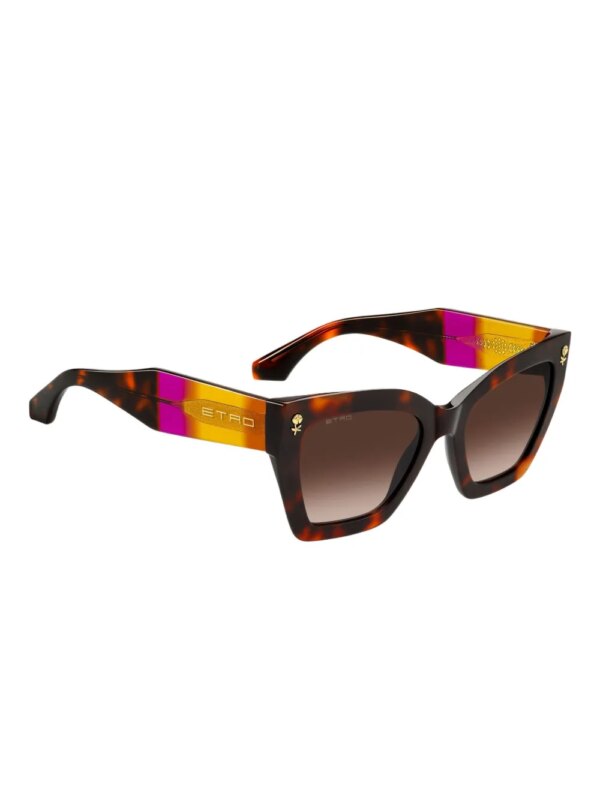 ETRO Colour Stripes zonnebril - Bruin