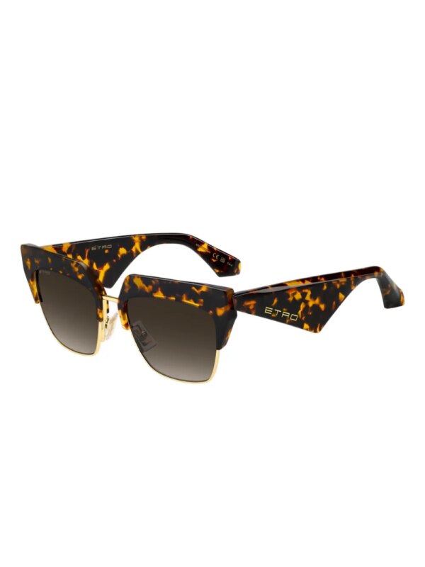 ETRO Etroclub zonnebril - Bruin