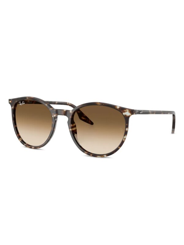 Ray-Ban RB2204 zonnebril - Bruin