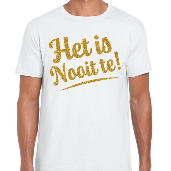 BD Verkleed T-shirt heren - Het is Nooit te! - glitter - foute party