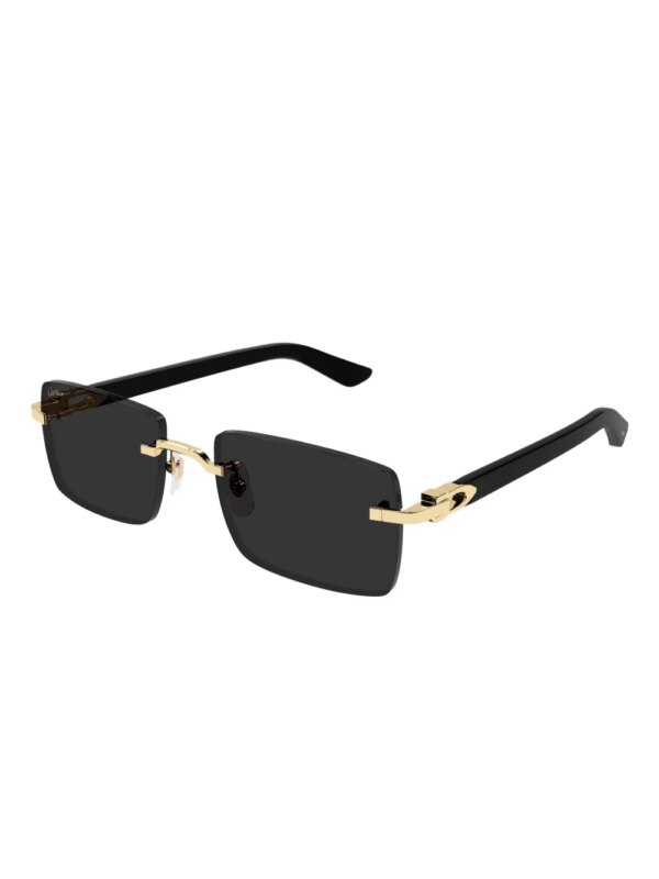 Cartier Eyewear Zonnebril met rond montuur - Zwart