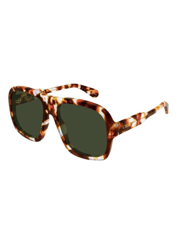 Chloé Eyewear CH0331S geometrische zonnebril - Bruin