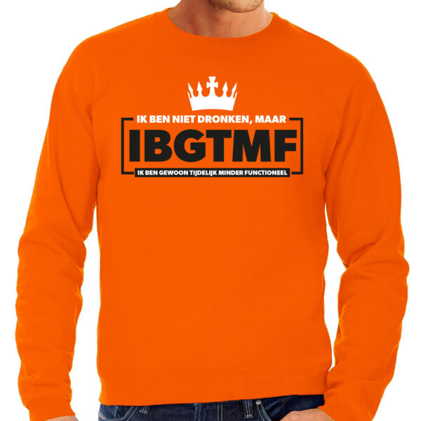 BD Koningsdag verkleed sweater heren - tijdelijk minder functioneel