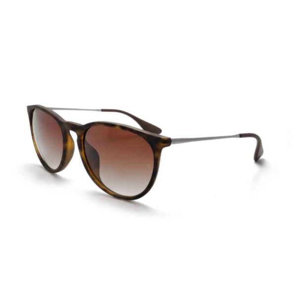 Ray-Ban Sunglasses RB4171F 865/13 54 Erika 54x13x140